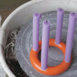 Adventkranz FRANZ
