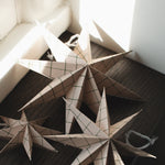 Papier Winterstern - Sand