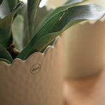 Blumentopf FLOWERY creme small